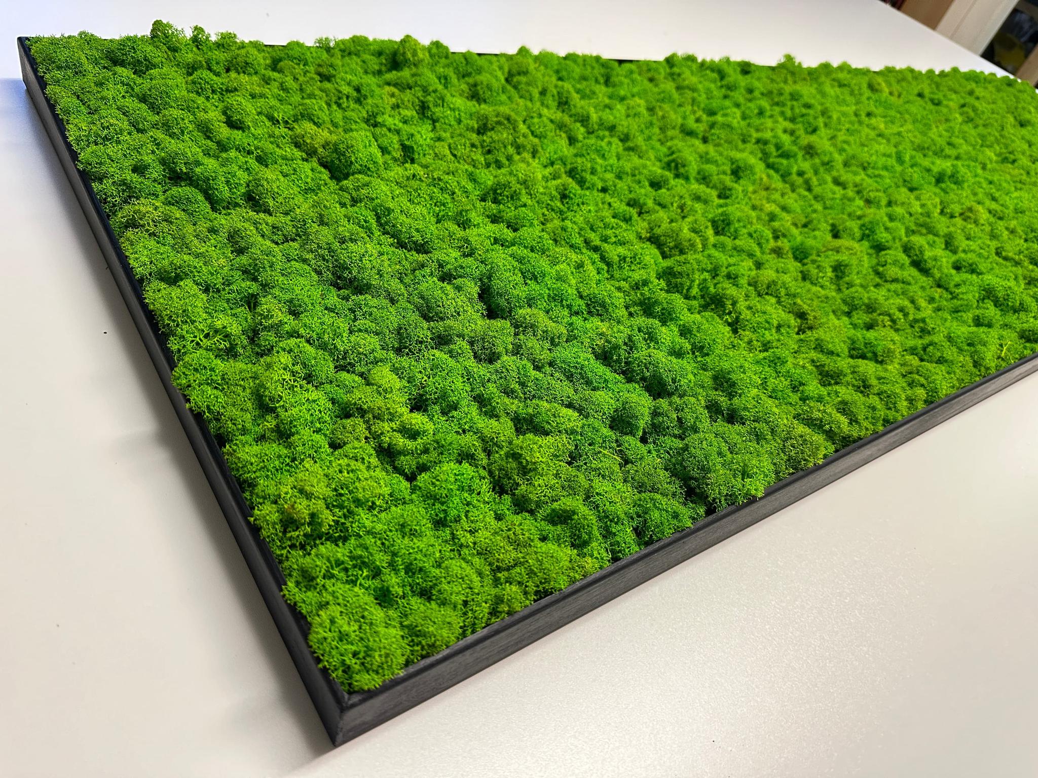 Mechový obraz sobí mech tenkostěnný dřevěný rám 1